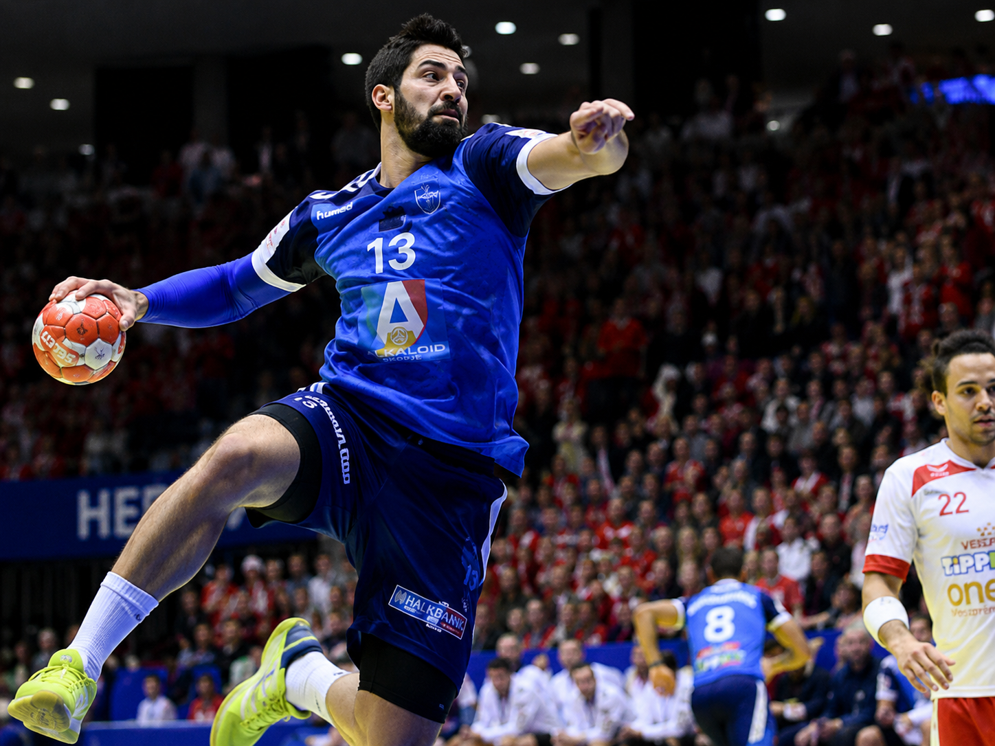 Fantasy Handball